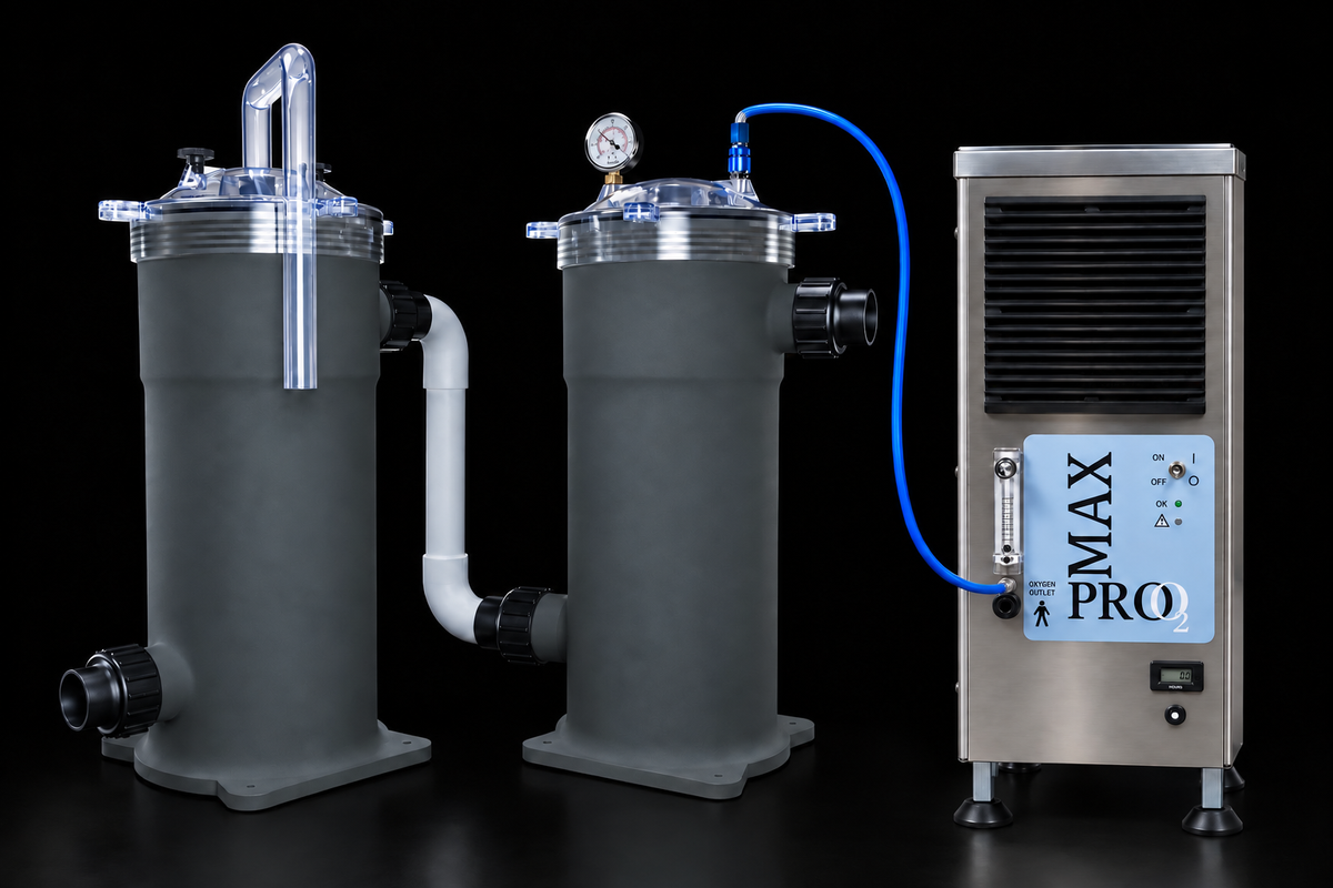 Apex O dissolved oxygen levels remain stable across a 24-hour cycle, while regular aeration fluctuates.